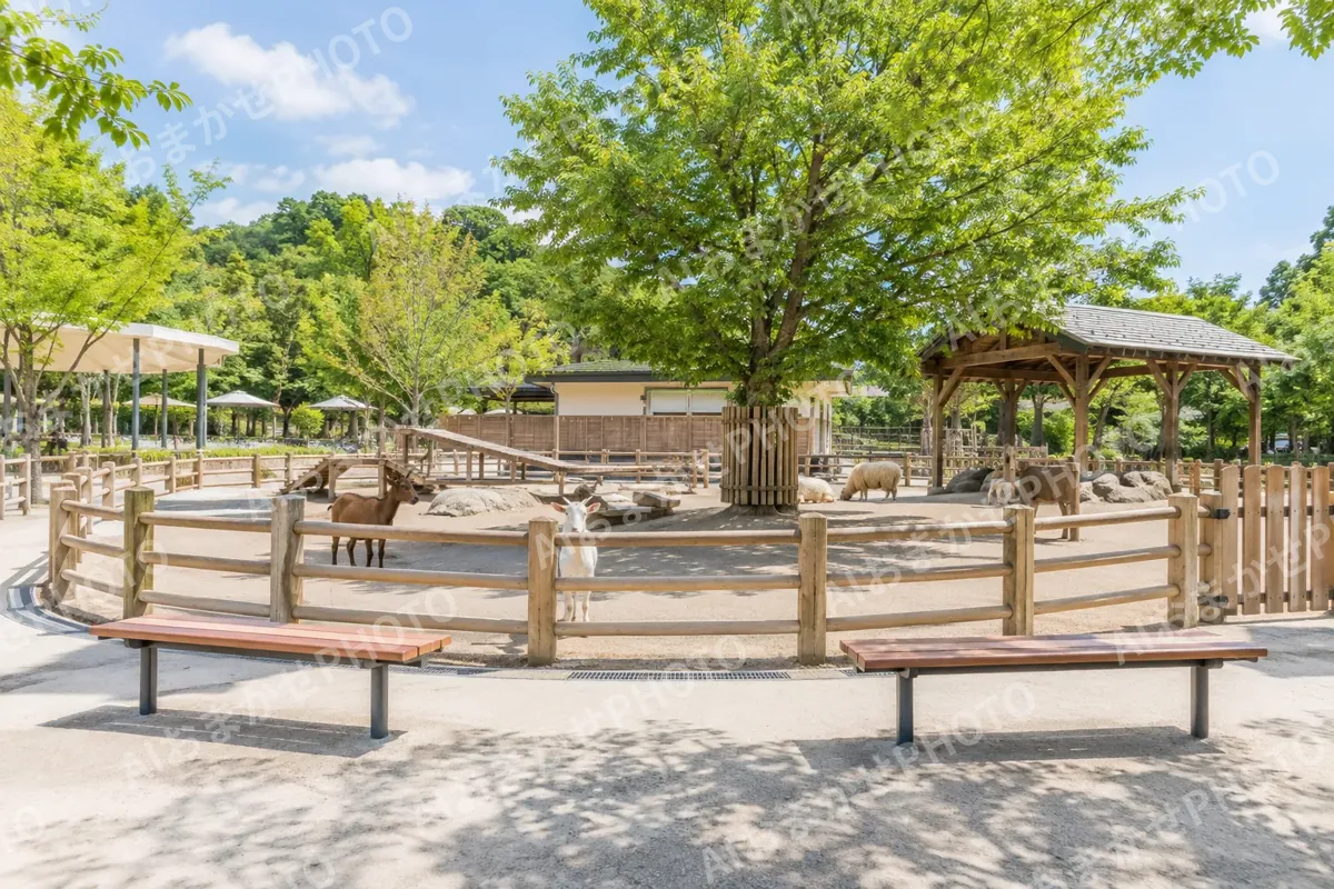 水族館・動物園・テーマパークの写真 No.16