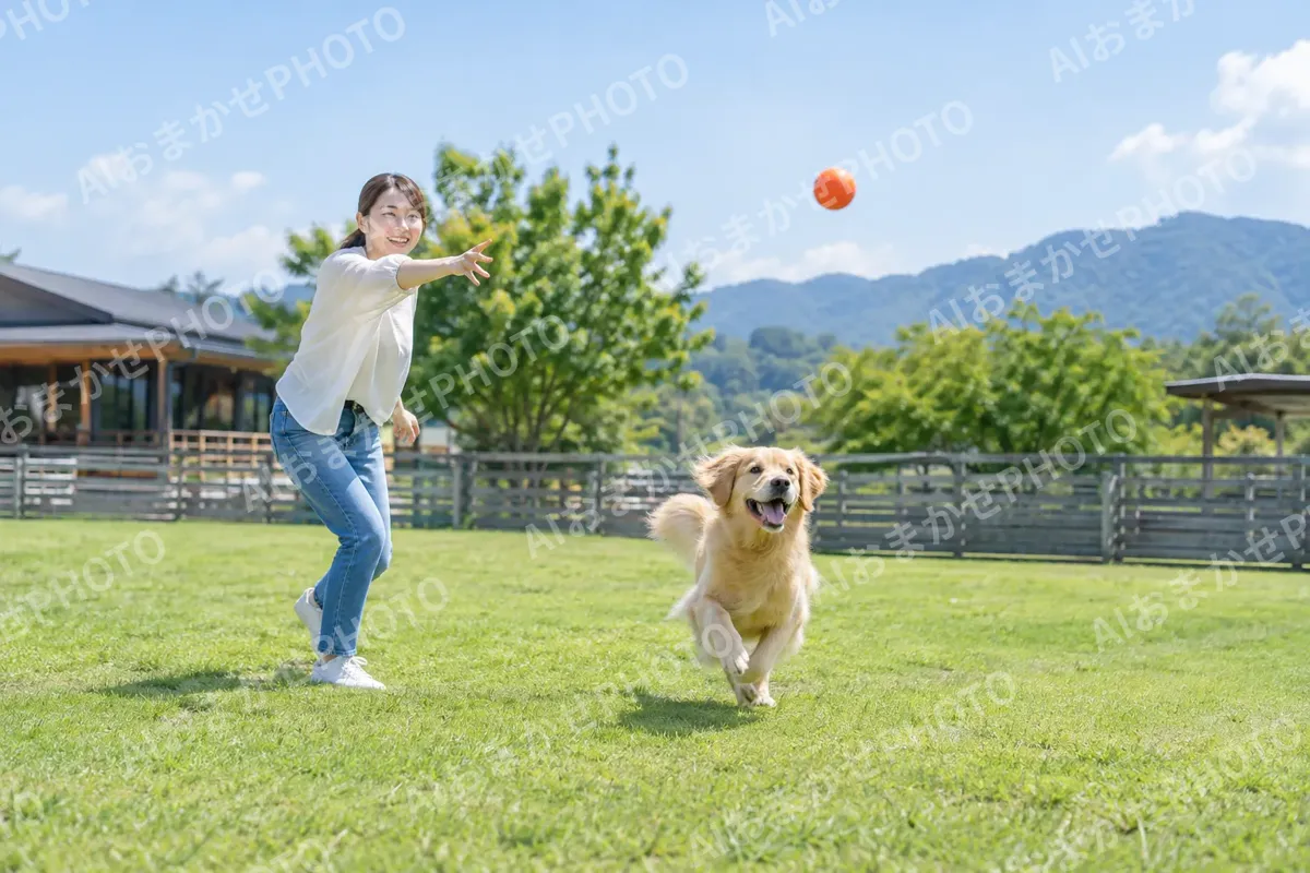 ボールを投げる飼い主と追いかける犬（ペットホテル・ドッグランの写真 No.26）