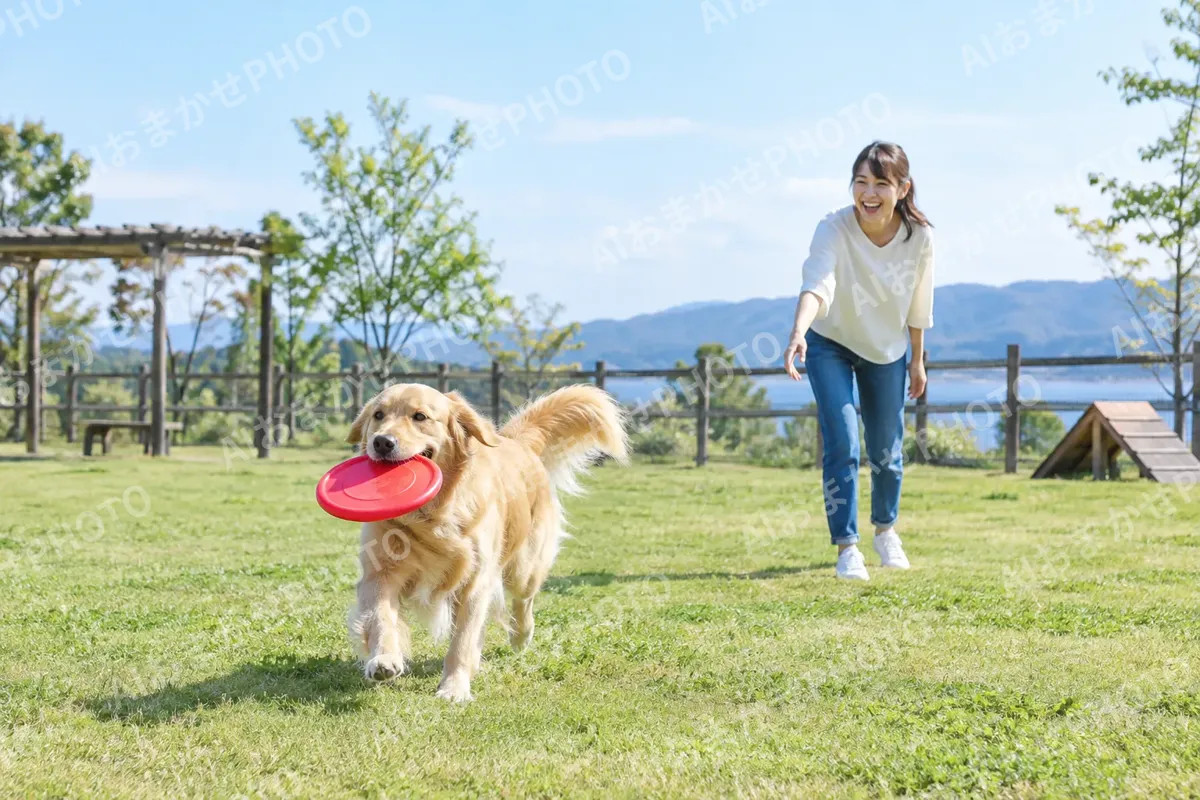 フリスビーをくわえる犬と飼い主（ペットホテル・ドッグランの写真 No.27）