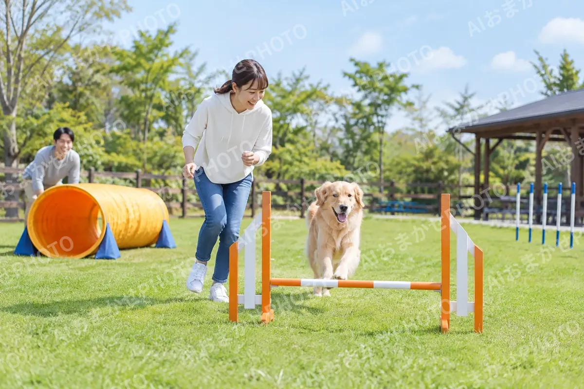 トンネルやハードルで遊ぶ犬と飼い主（ペットホテル・ドッグランの写真 No.30）