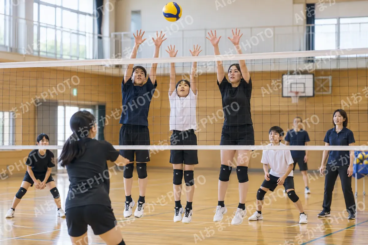 バレーボールの写真 No.3