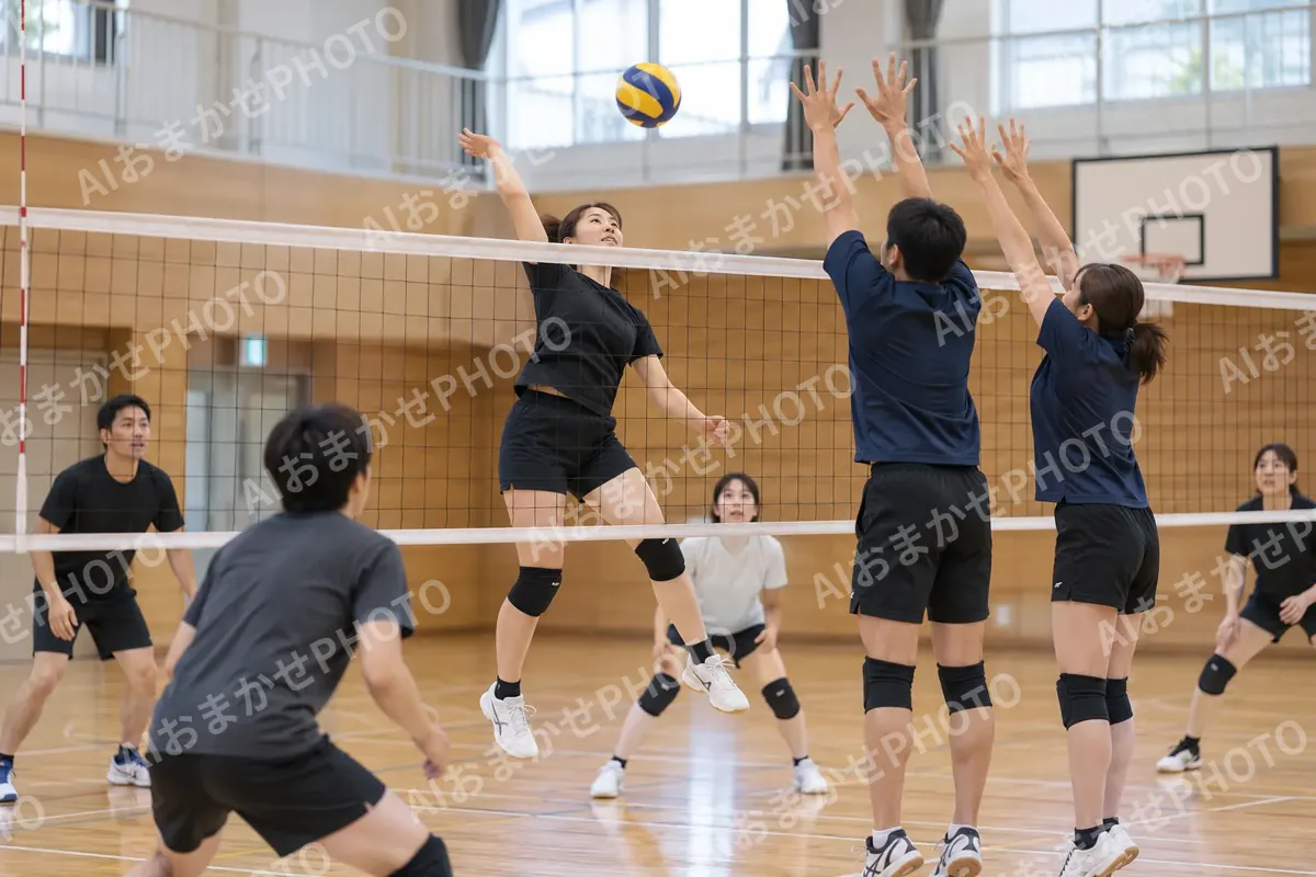 バレーボールの写真 No.12