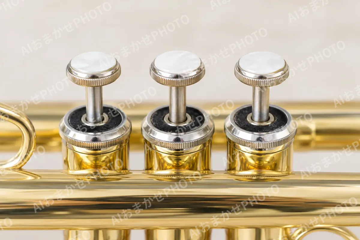 管楽器・吹奏楽の写真 No.49