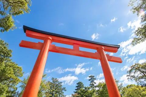 成人式・七五三の写真 No.21