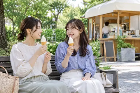 公園のベンチでソフトクリームを食べる二人（アイスクリームの写真 No.21）
