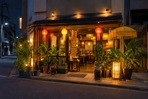 エスニック・アジア料理の写真 No.24