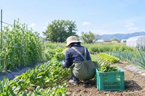 障害者就労支援・作業所の写真 No.7