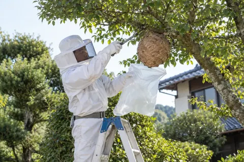 害虫・害獣駆除の写真 No.3