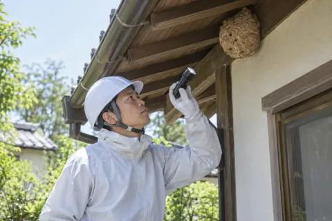 害虫・害獣駆除の写真 No.4