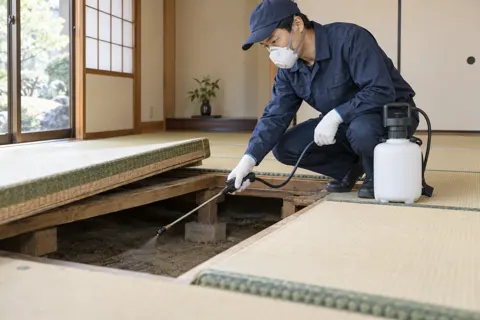 畳を上げて薬剤をまく作業員（害虫・害獣駆除の写真 No.40）