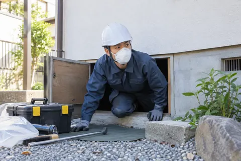 床下の入口から出てくる作業員（害虫・害獣駆除の写真 No.44）