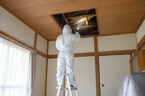 害虫・害獣駆除の写真 No.2