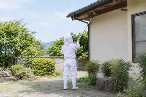 害虫・害獣駆除の写真 No.9