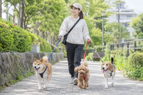その他の出張・代行サービスの写真 No.14