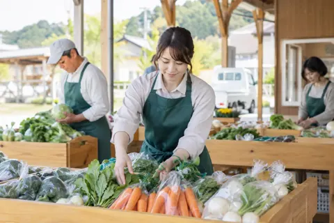 組合の直売所で野菜をならべる職員（行政・公共・団体・組合の写真 No.22）