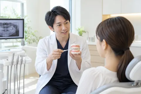 歯の模型を使って説明する歯科医師（歯科の写真 No.28）