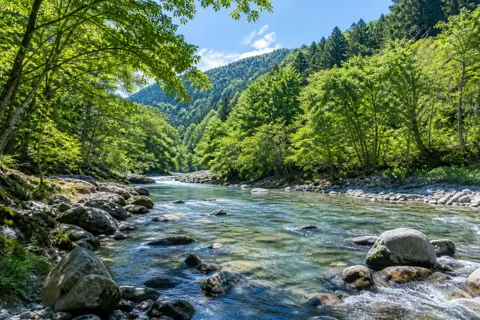 キャンプ場・グランピングの写真 No.7