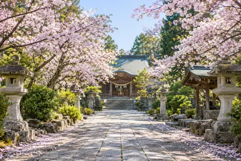 神社・寺院・教会の写真 No.19