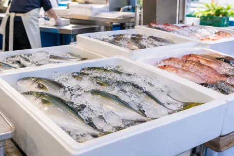 精肉・鮮魚・青果の写真 No.2