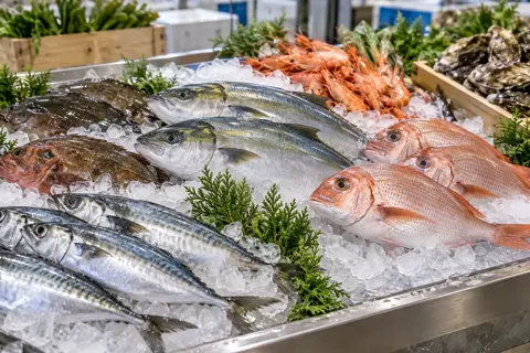 氷の上に並んだ魚（精肉・鮮魚・青果の写真 No.33）