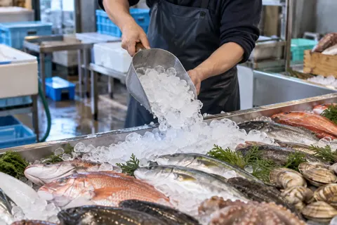 精肉・鮮魚・青果の写真 No.14