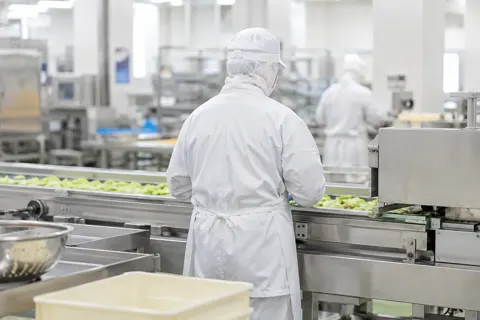食品加工・食品工場の写真 No.2