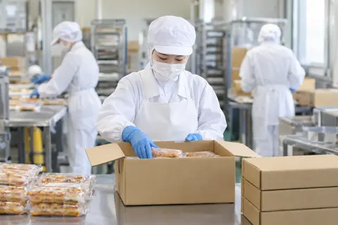食品加工・食品工場の写真 No.32