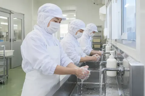 食品加工・食品工場の写真 No.36