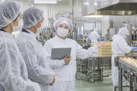 取引先の人に工場を案内する社員（食品加工・食品工場の写真 No.71）