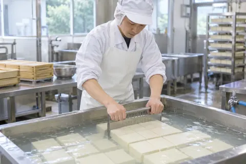 とうふを水の中で切り分ける作り手（食品製造・販売の写真 No.31）