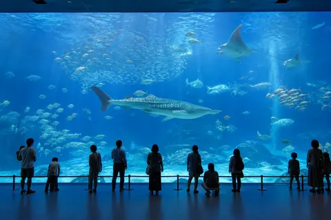 水族館・動物園・テーマパークの写真