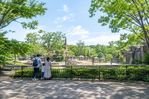 水族館・動物園・テーマパークの写真 No.4