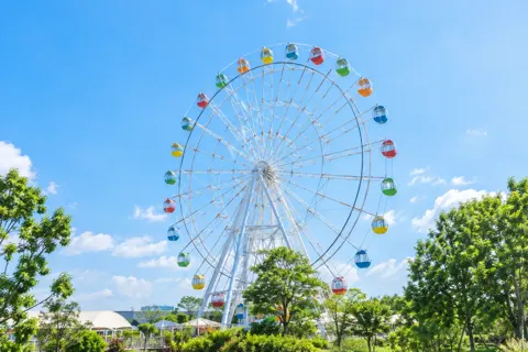 水族館・動物園・テーマパークの写真 No.6