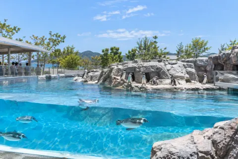 水族館・動物園・テーマパークの写真 No.7