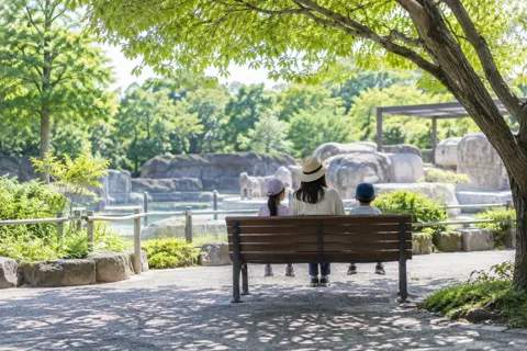水族館・動物園・テーマパークの写真 No.11