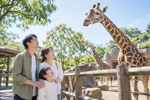 キリンを見上げる親子（水族館・動物園・テーマパークの写真 No.20）