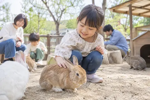 ふれあいの広場でうさぎをなでる子ども（水族館・動物園・テーマパークの写真 No.23）