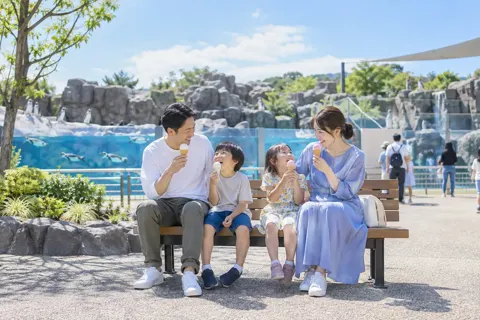 ベンチでアイスを食べる家族（水族館・動物園・テーマパークの写真 No.34）