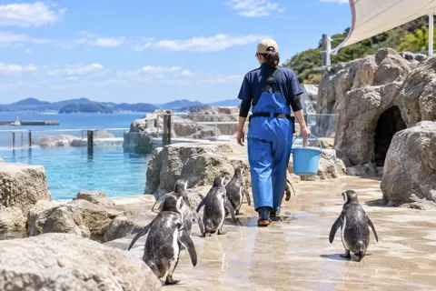 水族館・動物園・テーマパークの写真 No.15