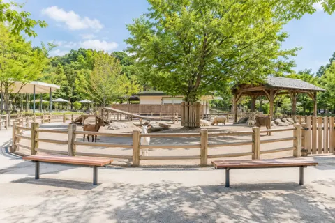 水族館・動物園・テーマパークの写真 No.16