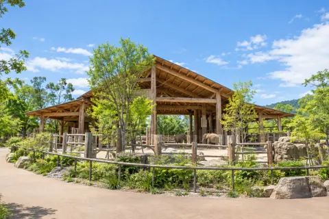 水族館・動物園・テーマパークの写真 No.17
