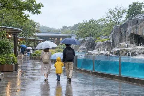 水族館・動物園・テーマパークの写真 No.23