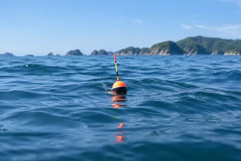 釣り船・遊漁船の写真 No.19