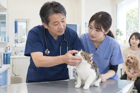 動物病院・ペット医療の写真 No.16