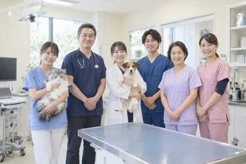 動物病院・ペット医療の写真 No.22