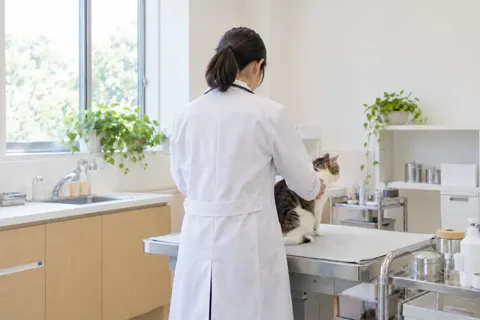 動物病院・ペット医療の写真 No.31