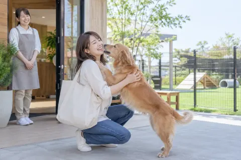 おむかえに来た飼い主に飛びつく犬（ペットホテル・ドッグランの写真 No.23）