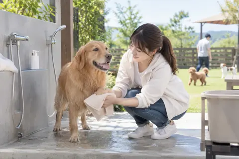 足を洗う場所で犬の足をふく飼い主（ペットホテル・ドッグランの写真 No.32）