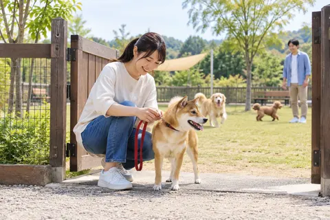 ドッグランの入口で犬のリードを外す飼い主（ペットホテル・ドッグランの写真 No.33）