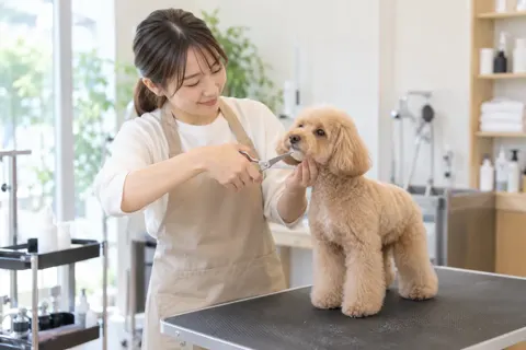 ペットサロン・トリミングの写真 No.1